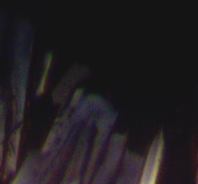 Potassium Ferricyanide crystals with crossed polarizers